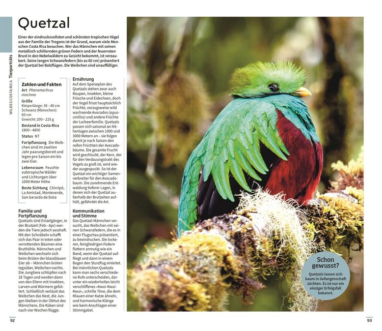 Produktbild: Vis-&agrave;-Vis Reisef&uuml;hrer Costa Rica