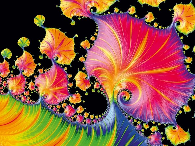 Produktbild: CALVENDO Puzzle colourful leaves | 1000 Teile Lege-Gr&ouml;&szlig;e 64x48cm Foto-Puzzle f&uuml;r gl&uuml;ckliche Stunden