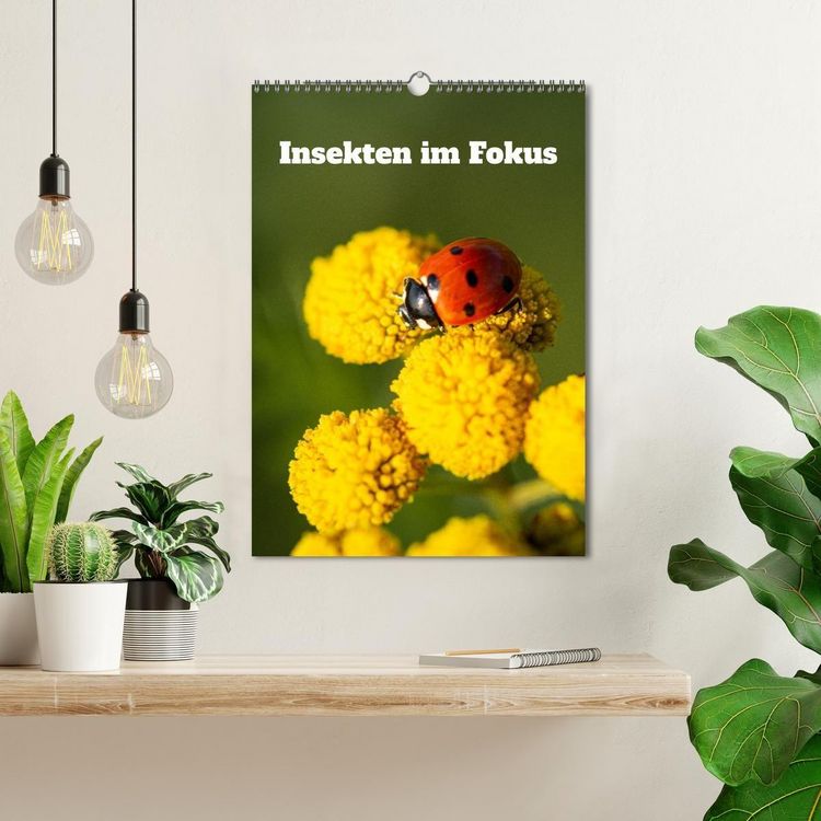 Produktbild: Insekten im Fokus (Wandkalender 2026 DIN A3 hoch), CALVENDO Monatskalender