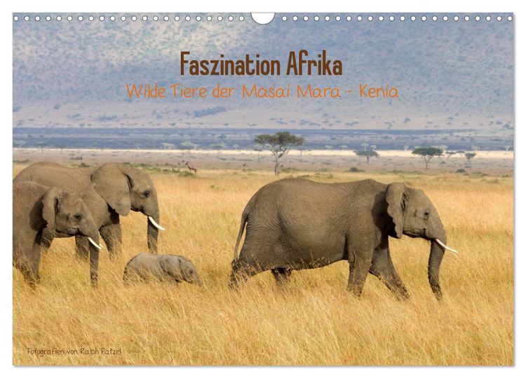 Produktbild: Faszination Afrika - wilde Tiere der Masai Mara - Kenia (Wandkalender 2026 DIN A3 quer), CALVENDO Monatskalender