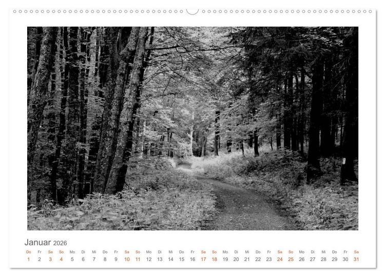 Produktbild: Quo Vadis? W&auml;lder und Wege in der R&ouml;hn, L&uuml;neburger Heide und der Mecklenburgischen Seenplatte (Wandkalender 2026 DIN A2 quer), CALVENDO Monatskalender