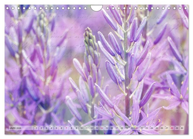 Produktbild: Vintage Nature - Romantische Naturaufnahmen (Wandkalender 2026 DIN A4 quer), CALVENDO Monatskalender