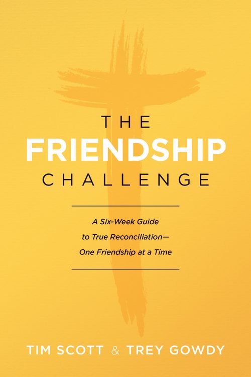 Produktbild: The Friendship Challenge