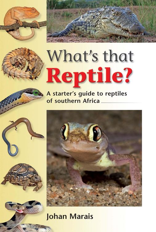 Produktbild: What's that Reptile?