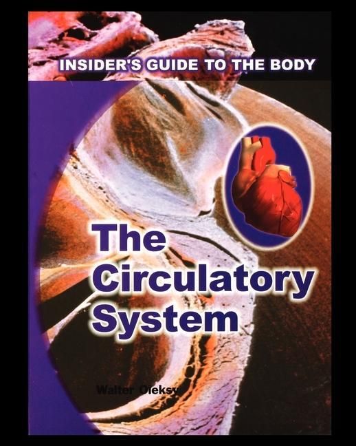 Produktbild: Circulatory System