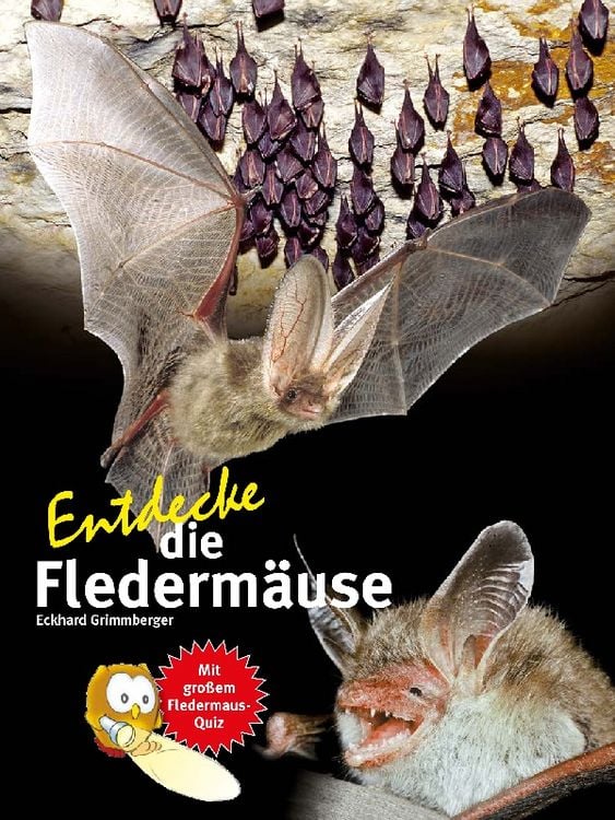 Produktbild: Entdecke die Flederm&auml;use