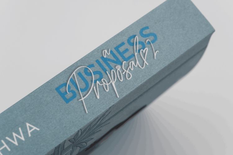 Produktbild: A Business Proposal 2