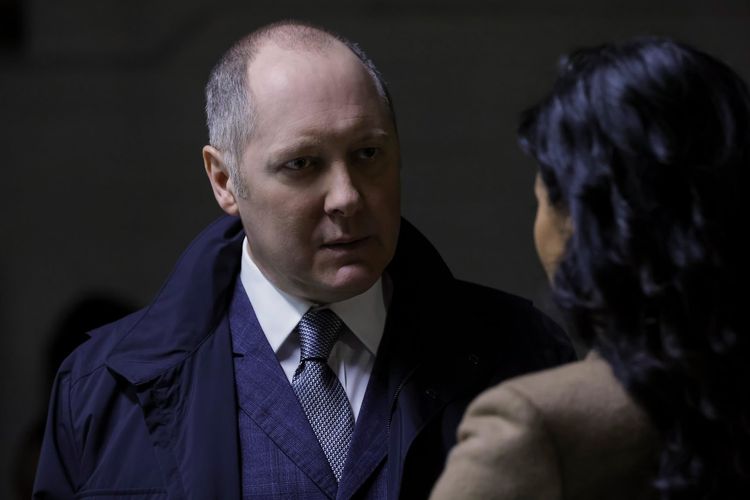 The Blacklist - Die komplette achte Season [6 DVDs]