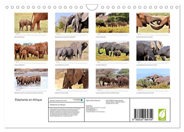 Produktbild: &Eacute;l&eacute;phants en Afrique (Calendrier mural 2026 DIN A4 vertical), CALVENDO calendrier mensuel