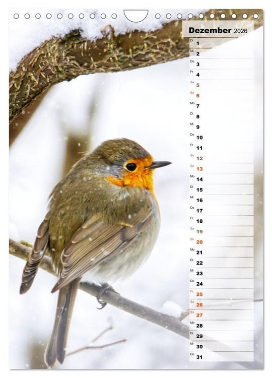 Produktbild: Niedliche Rotkehlchen (Wandkalender 2026 DIN A4 hoch), CALVENDO Monatskalender