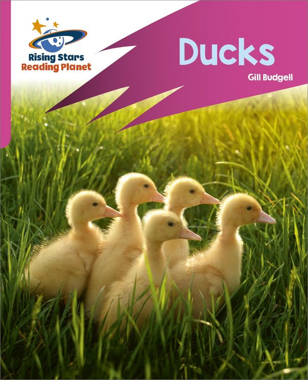 Produktbild: Reading Planet: Rocket Phonics - Target Practice - Ducks - Pink B