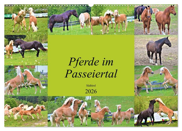 Produktbild: Pferde im Passeiertal (Wandkalender 2026 DIN A2 quer), CALVENDO Monatskalender
