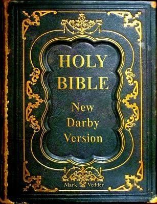 Produktbild: Holy Bible New Darby Version
