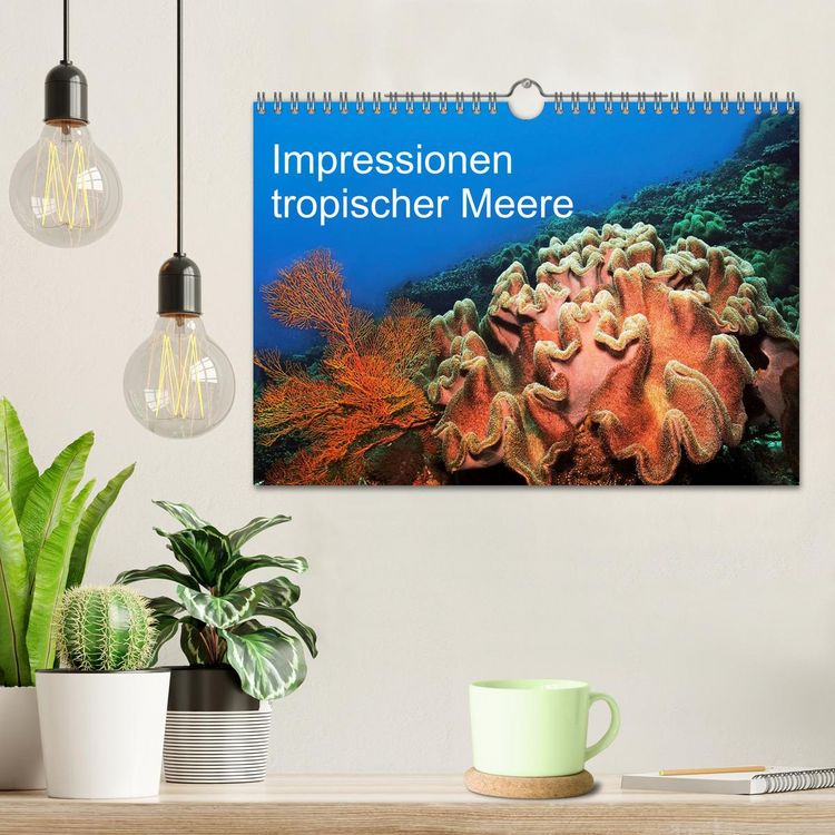 Produktbild: Impressionen tropischer Meere (Wandkalender 2026 DIN A4 quer), CALVENDO Monatskalender