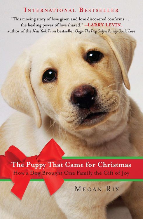 Produktbild: The Puppy That Came for Christmas