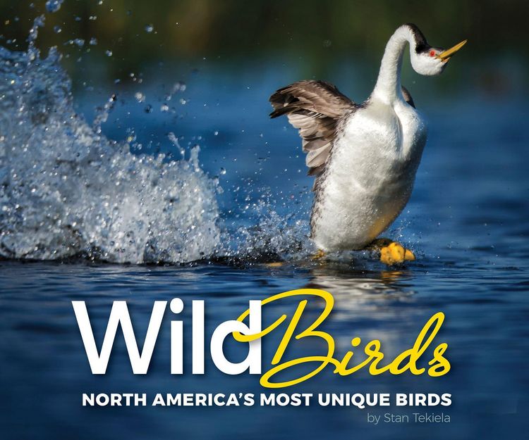 Produktbild: Wild Birds