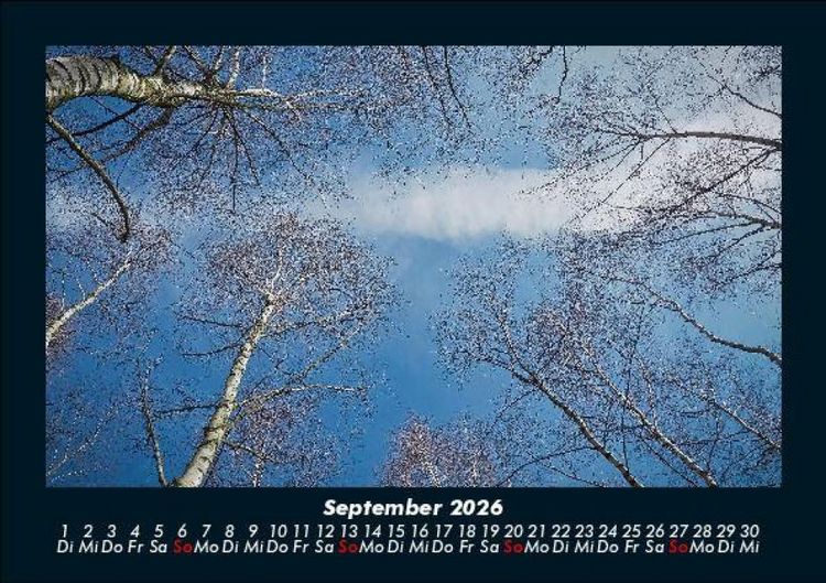 Produktbild: B&auml;ume 2026 Fotokalender DIN A5