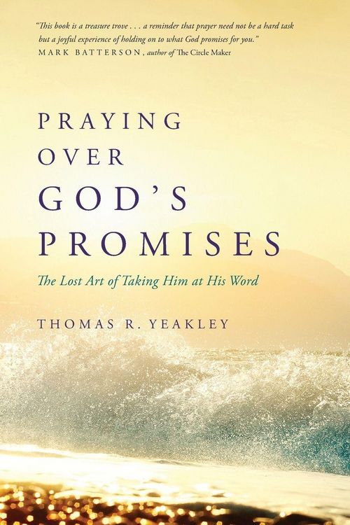Produktbild: Praying over God's Promises