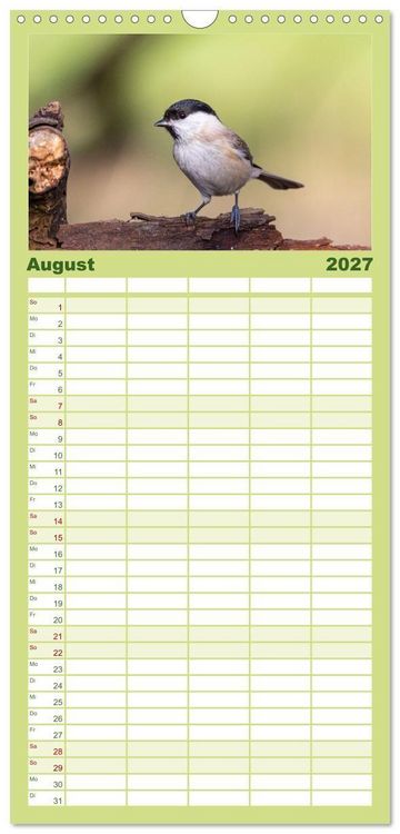 Produktbild: Familienplaner 2027 - Der Kernbei&szlig;er und seine gefiederten Gesellen mit 5 Spalten (Wandkalender, 21 x 45 cm) CALVENDO