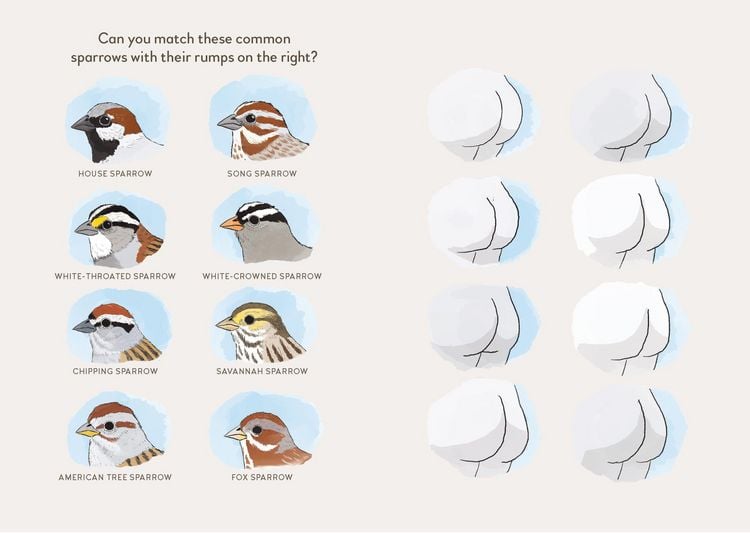 Produktbild: Extremely Accurate Birds