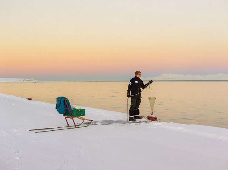 Produktbild: Spitzbergen
