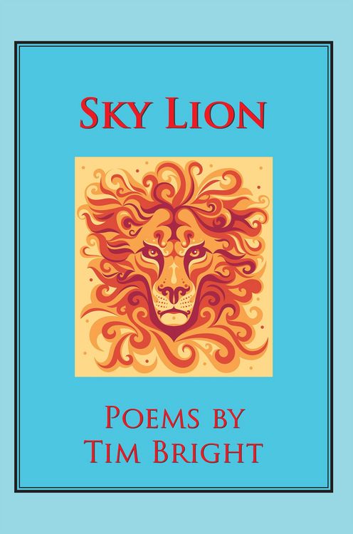 Produktbild: Sky Lion
