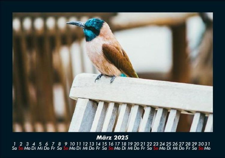 Produktbild: Vogelparadies 2025 Fotokalender DIN A5