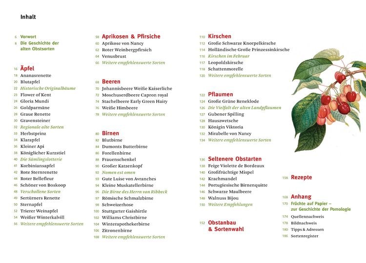 Produktbild: Die alten Obstsorten