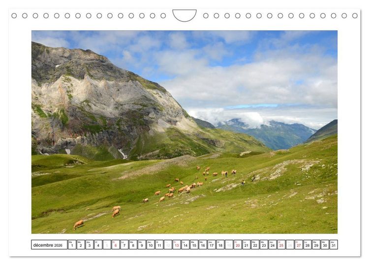 Produktbild: Pyr&eacute;n&eacute;ennes (Calendrier mural 2026 DIN A4 vertical), CALVENDO calendrier mensuel