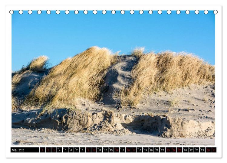 Produktbild: St. Peter-Ording - Natur pur (Tischkalender 2026 DIN A5 quer), CALVENDO Monatskalender