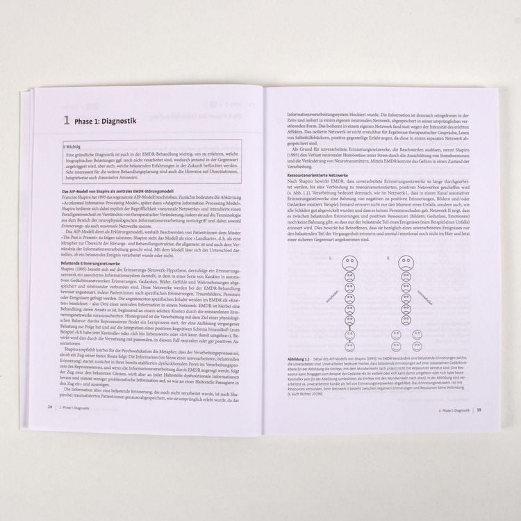 Produktbild: Therapie-Tools EMDR