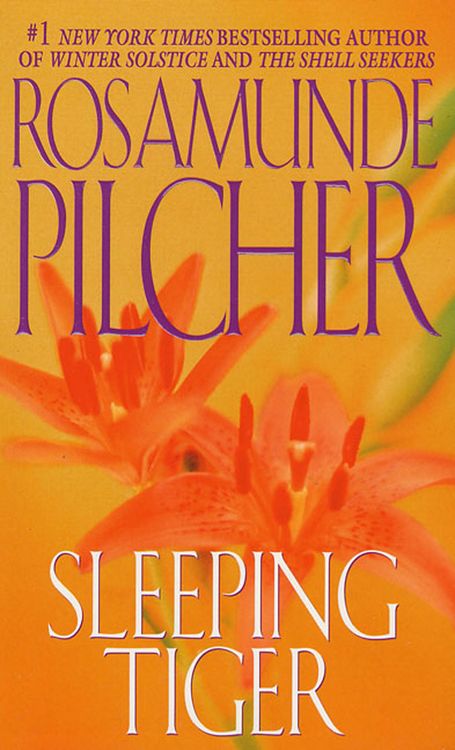Produktbild: Sleeping Tiger