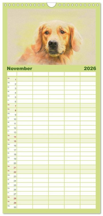 Produktbild: Familienplaner 2026 - Golden Retriever mit 5 Spalten (Wandkalender, 21 x 45 cm) CALVENDO