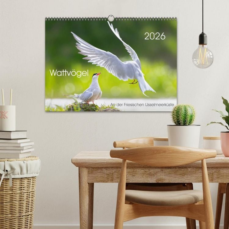 Produktbild: Wattv&ouml;gel an der Friesischen IJsselmeerk&uuml;ste (Wandkalender 2026 DIN A3 quer), CALVENDO Monatskalender