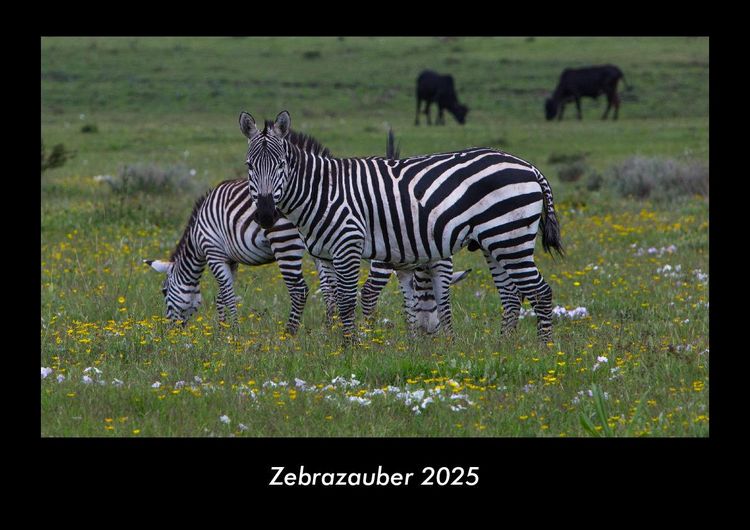 Produktbild: Zebrazauber 2025 Fotokalender DIN A3