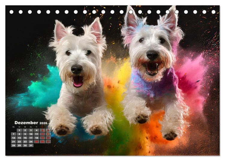 Produktbild: Holi Pulver - Doppelte Action (Tischkalender 2026 DIN A5 quer), CALVENDO Monatskalender
