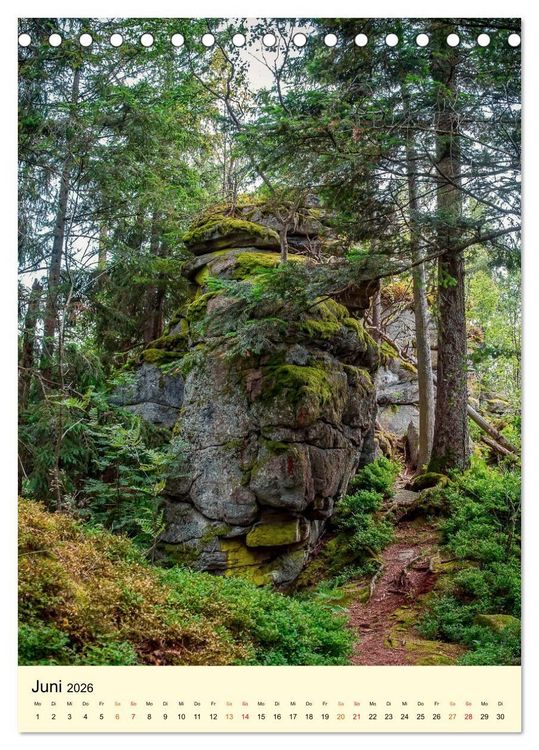 Produktbild: Abenteuer Nationalpark in Deutschland (Tischkalender 2026 DIN A5 hoch), CALVENDO Monatskalender