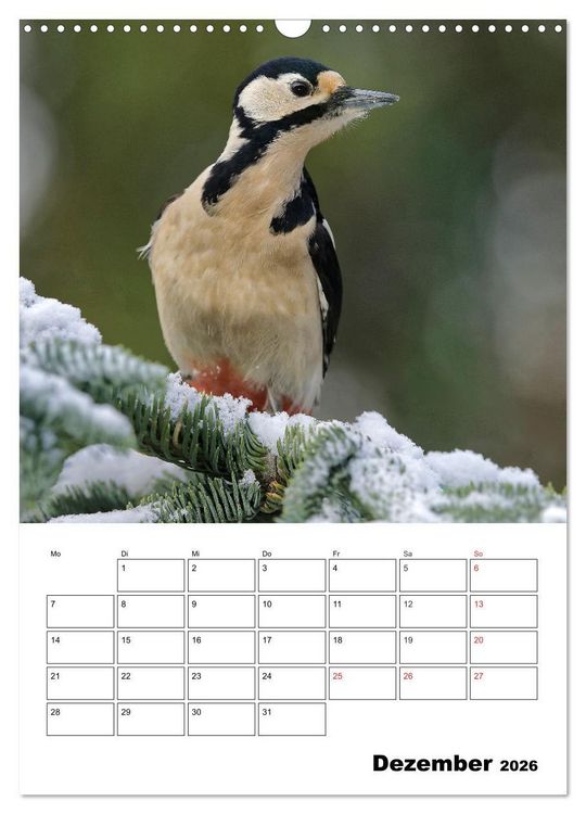 Produktbild: Bezaubernde V&ouml;gel im heimischen Garten (Wandkalender 2026 DIN A3 hoch), CALVENDO Monatskalender