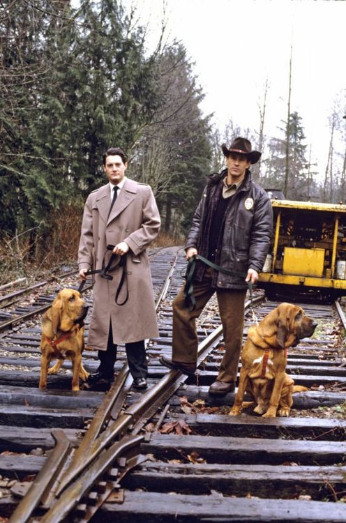 Twin Peaks: Season 1-3 (TV Collection Boxset) [16 DVDs]