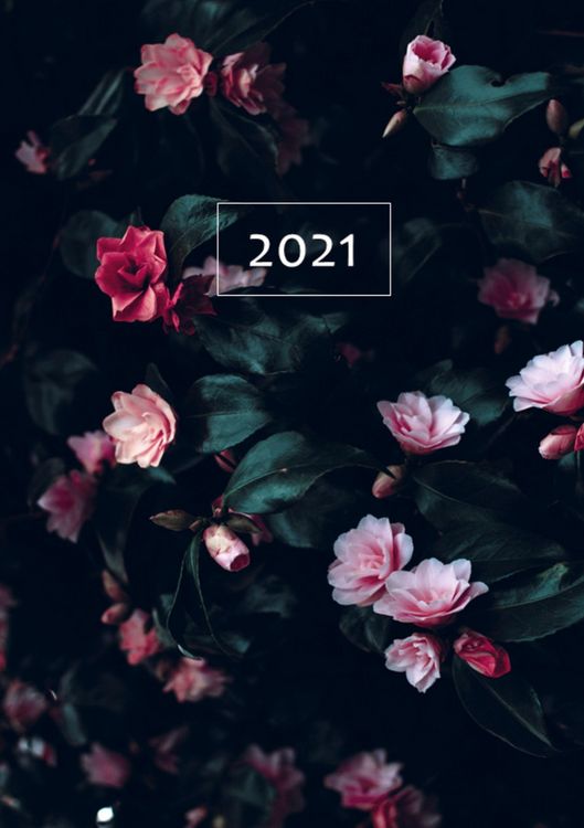 Produktbild: 2021 Terminplaner