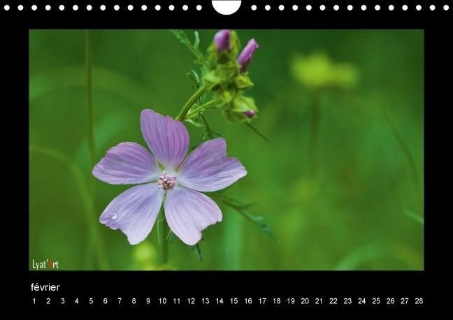 Produktbild: Liatard, A: Fleurs et couleurs (Calendrier mural Calendrier