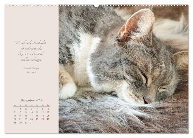 Produktbild: H&auml;ng einfach mal ab (hochwertiger Premium Wandkalender 2026 DIN A2 quer), Kunstdruck in Hochglanz
