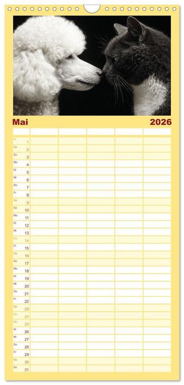 Produktbild: Familienplaner 2026 - Hund und Katze - Tierische Freunde mit 5 Spalten (Wandkalender, 21 x 45 cm) CALVENDO