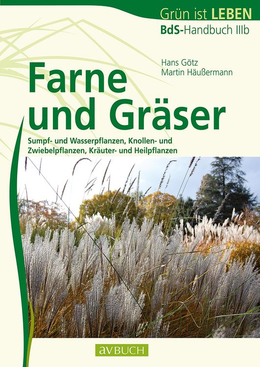 Produktbild: Farne und Gr&auml;ser
