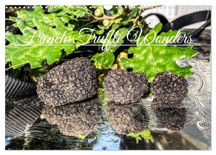 Produktbild: French Truffle Wonders (Wall Calendar 2026 DIN A3 landscape), CALVENDO 12 Month Wall Calendar