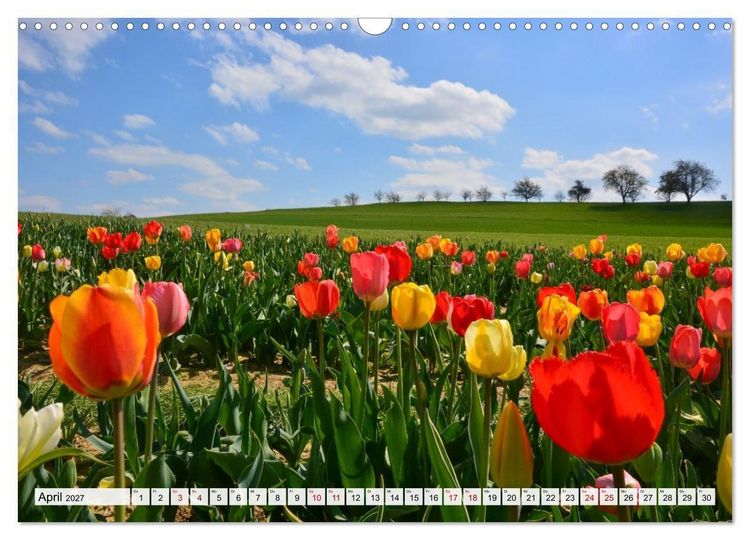 Produktbild: Zeit zum Atmen - im Einklang mit der Natur (Wandkalender 2027 DIN A3 quer), CALVENDO Monatskalender