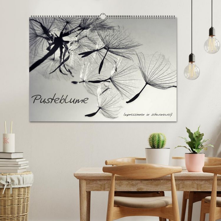 Produktbild: Pusteblume - Impressionen in schwarzwei&szlig; (Wandkalender 2026 DIN A2 quer), CALVENDO Monatskalender