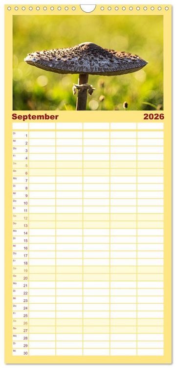 Produktbild: Familienplaner 2026 - Fantastische Pilzwelten mit 5 Spalten (Wandkalender, 21 x 45 cm) CALVENDO