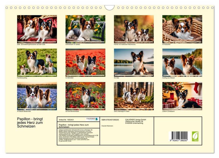Produktbild: Papillon - bringt jedes Herz zum Schmelzen (Wandkalender 2026 DIN A3 quer), CALVENDO Monatskalender