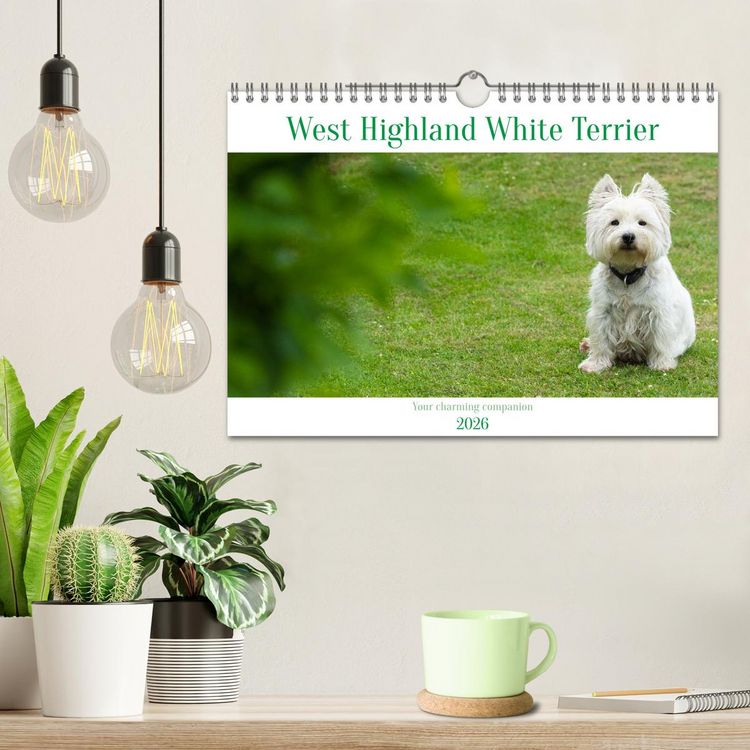 Produktbild: West Highland White Terrier - Your charming companion (Wall Calendar 2026 DIN A4 landscape), CALVENDO 12 Month Wall Calendar